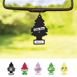Air Fresheners giveaways for your business .. 300 Fresheners for just 499$ - 1.66$ Each